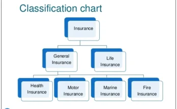 Classification of insurance