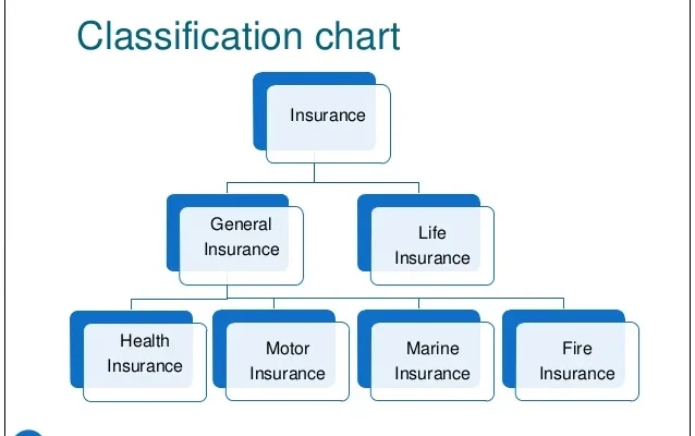 Classification of insurance